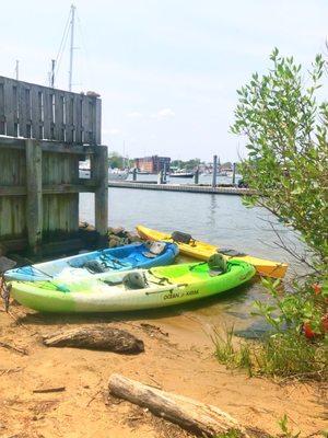 Kayaking at Kayak Annapolis