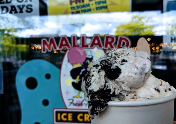 A Triple Indecisive - 3 half scoops because, who can choose just one? Mint Oreo, Heath, and Maple Walnut in this bowl!