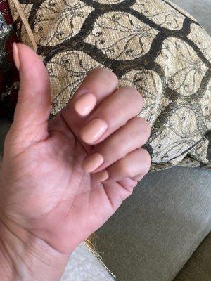 Perfect nude color.  Classic gel