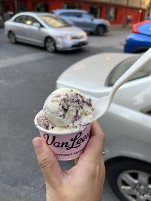 Blueberry donut seasonal scoop $7