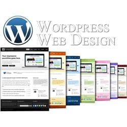 Wordpress Web Design