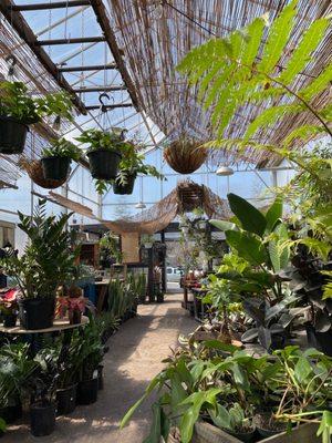 Plant shop