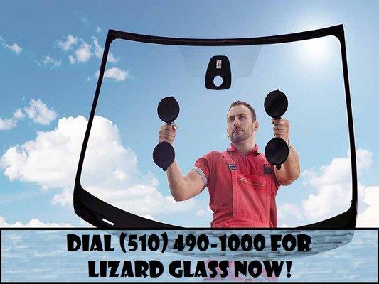 Need a new Windshield?