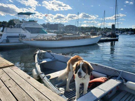 Gloria, awaits to help with moving boats in Belfast's harbor.