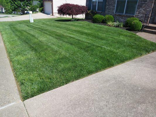 A small yard looks great striped