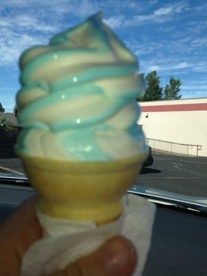 Cotton candy swirl junior cone!