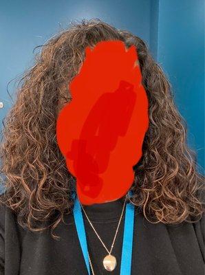 After cut and color - Day 4 since wash with my routine CG products