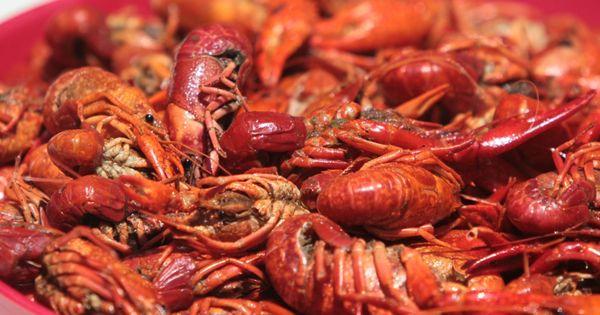 Crawdad in spicy or spicy and hot Cajun