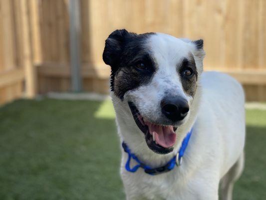 Millie is all smiles playing on the turf in the outdoor play area.