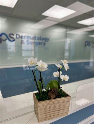 PS Dermatology & Surgery