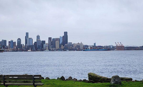 Below along Alki, pouring rain (12/27/23)