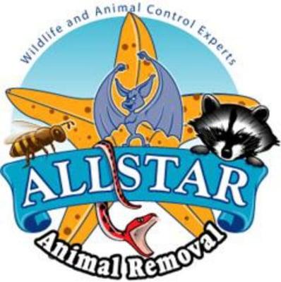 AllStar Animal Removal