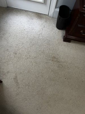 Elite Carpet Care