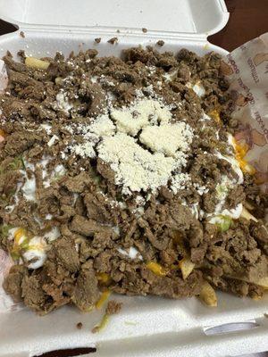 Carne Asada Fries