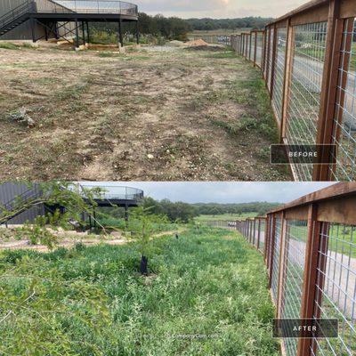 Cedar and cattle panel fence keeping livestock off the native grasses, wildflowers, trees and cover crop.