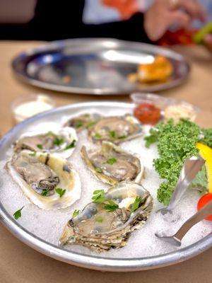 Raw Oysters - App