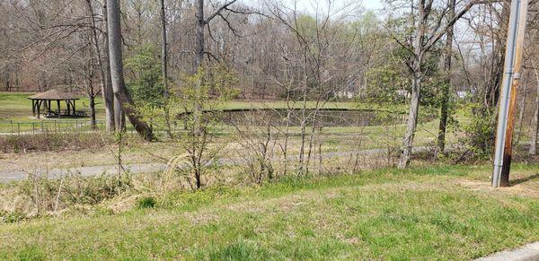 Pond with small picnic pavilion.