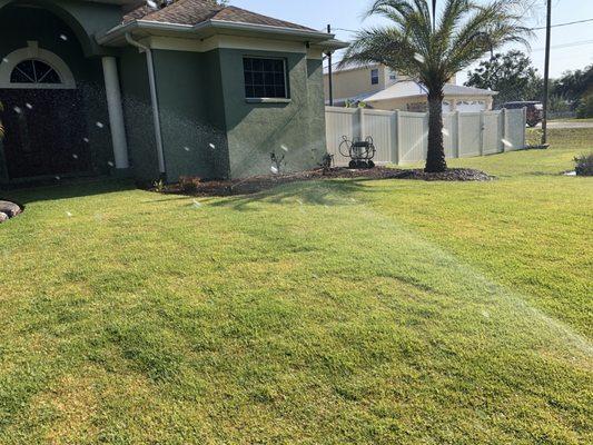 Fresh sod with complete coverage