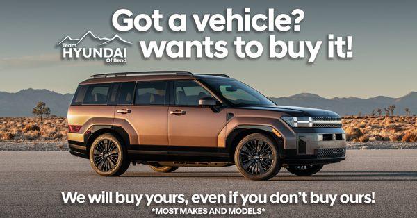 Team Hyundai wants to buy your vehicle! Even if you aren't ready to buy one of ours, we're ready to buy yours!