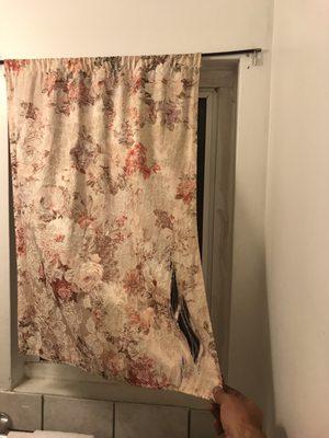 This is the bathroom curtain, torn and barely hanging up.