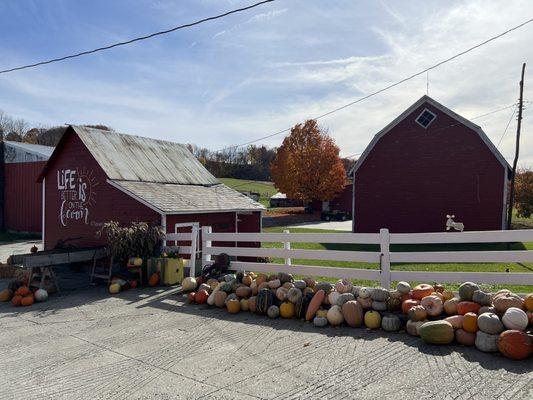 How can I pick? I want them all. Life is better at the farm.