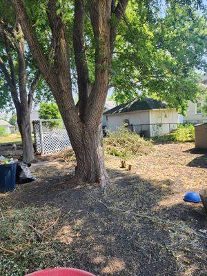 Junk removal cleanup in geneseo