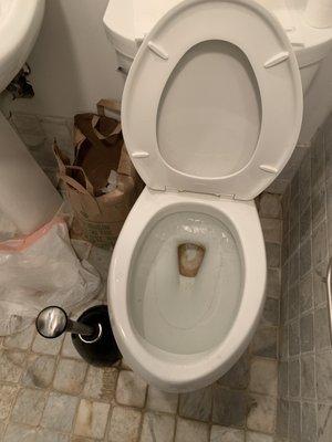 Toilet that backed up when flushed