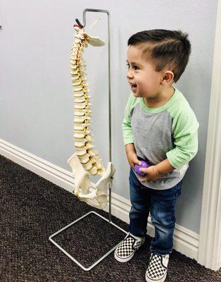 #kidchiro #bestchiro #cowellchiro #chiropractic