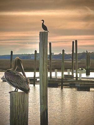 Murrells Inlet marshwalk near Myrtle Beach