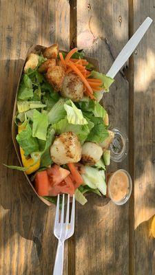 Scallop salad