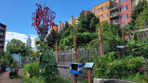 Community Garden