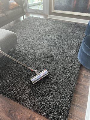 Noticed immediately that rug was still dirty after they returned it (1/2)