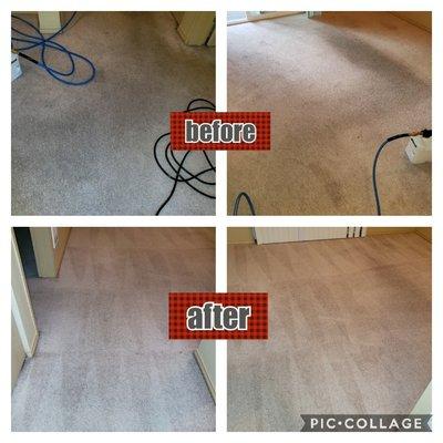 Property manager was ready to replace but we were able to salvage the carpet and saved them $$$$.