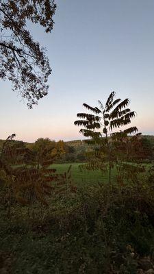 Parsons Marsh Reserve