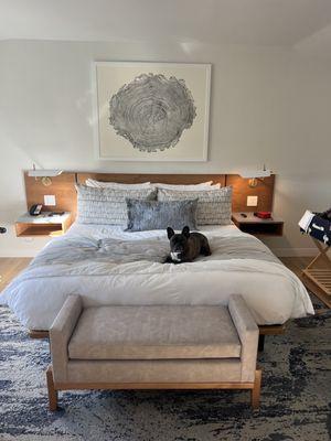 Bedroom with the princess approving the space.