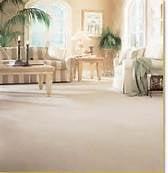 West Coast Carpet Care- GREEN CLEANING