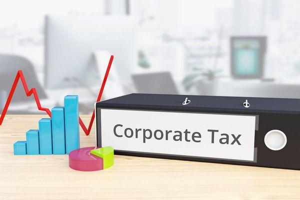 S CORPORATION, SELFEMPLOYED INCOME TAX EIN # APP