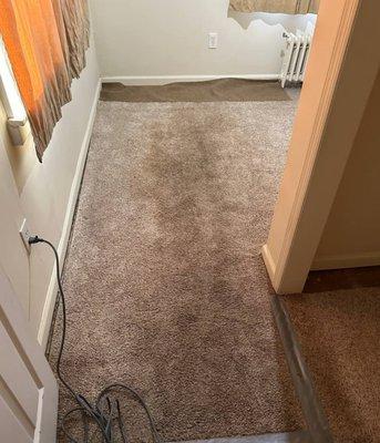 carpet cleaning, rug cleaning, rug cleaning near you, professional area rug cleaning near you, professional carpet cleaning