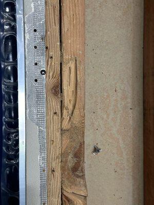 Termite damage