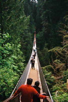 The Capilano Suspension Bridge