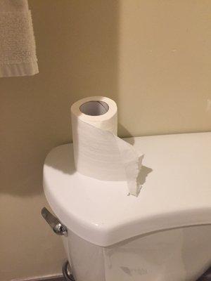 They hadn't replaced the toilet paper since the last guest which is pretty gross and potentially very very unsanitary