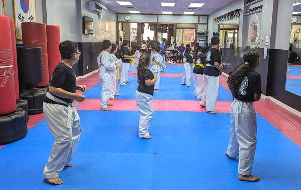 No Belt to Green Belt class, ages 6 to 14