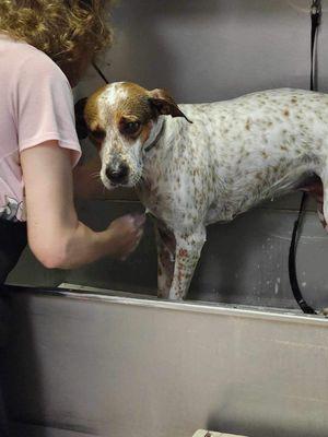 First bath after 4 days in the woods!!!