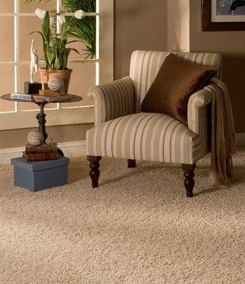 Best Steam Carpet Cleaning