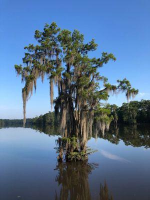 Along the river