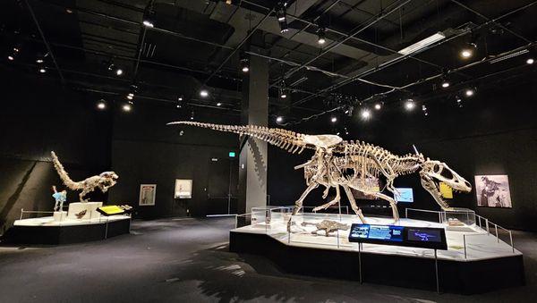 6/7/2024 - I was able to see the wonderful T Rex exhibit when it was blissfully pretty empty. What a neat exhibit with some real fossils too