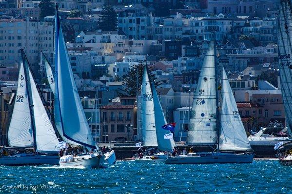 Which of these boats are documented by NEMT? Photo by Dwayne Sullivan.