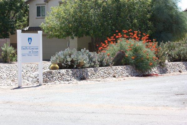 New entrance sign with some beautiful desert foliage.