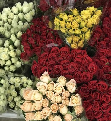 Roses are always a great choice