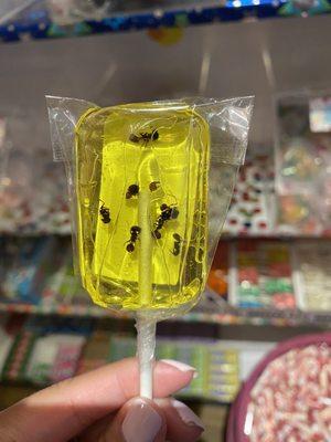 Ants Lollipop